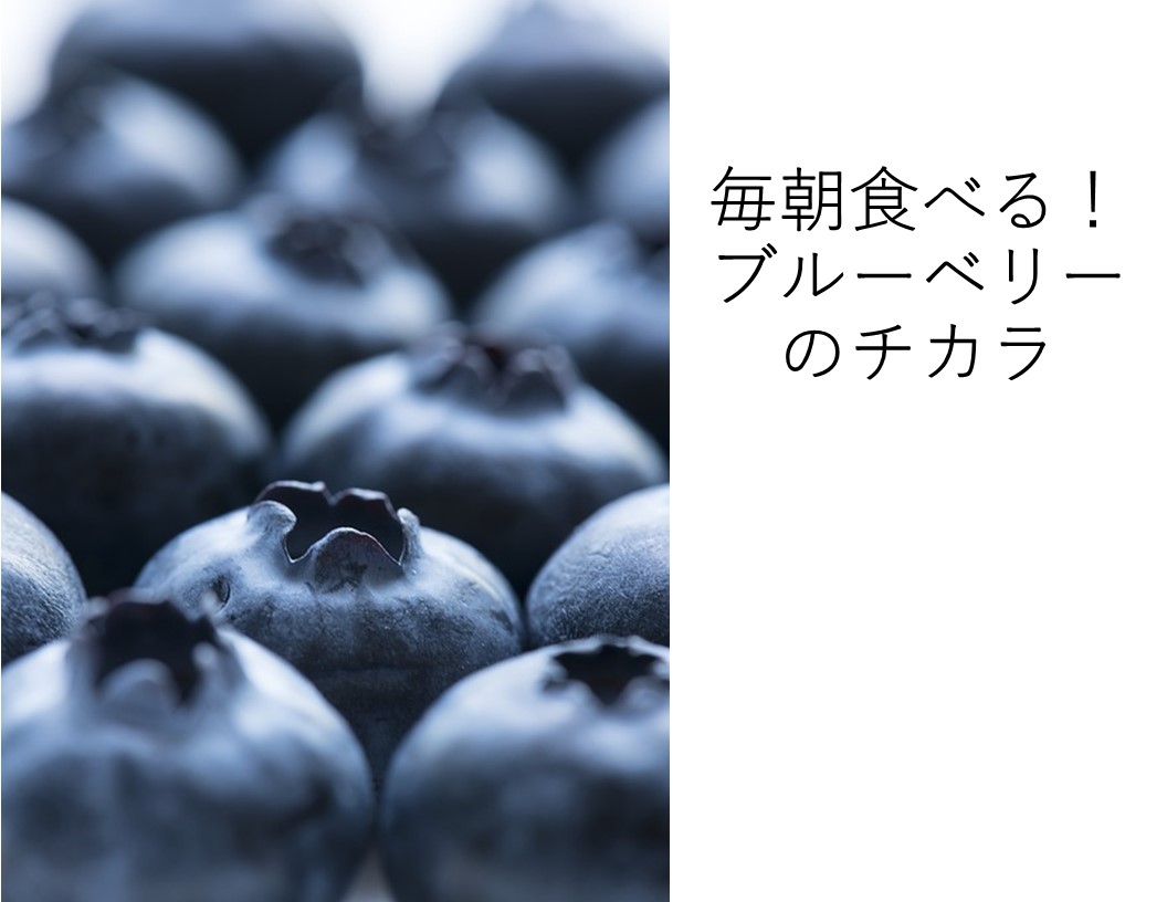 ブルーベリーの効果は 毎日食べて健康生活 飽きないレシピも公開