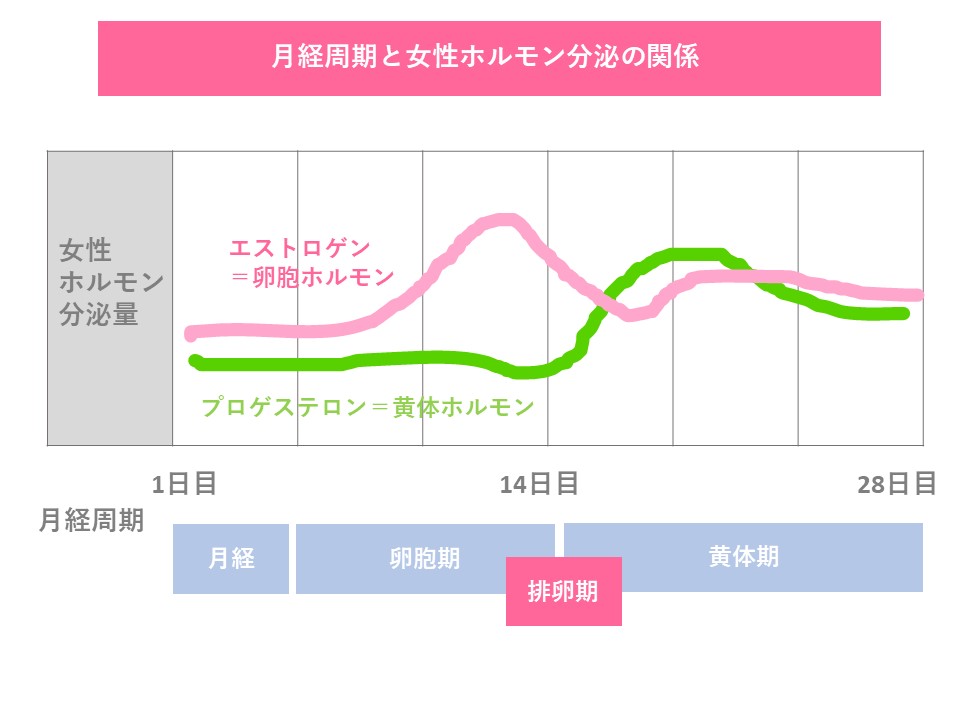 女性ホルモンを理解しよう 更年期 ストレスと上手に付き合うアロマテラピー Lohas美人