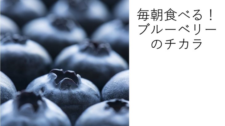 ブルーベリーの栄養成分は?毎日食べて健康生活!飽きないレシピも公開