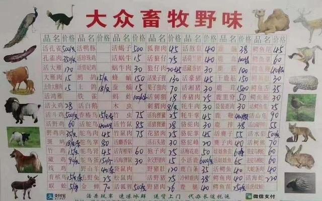 武漢の食用動物市場が凄い!【画像あり】新型肺炎、感染源は蛇かねずみ?武漢とはどんな街?