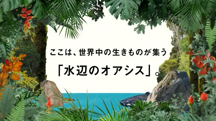 水族館が川崎駅前に2020年7月17日オープン。料金や概要まとめ